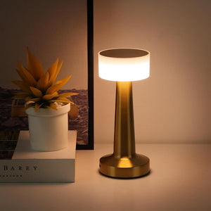 Veas LED Desk Lamp